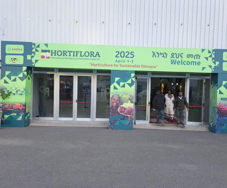 "Kite Manufacturing PLC booth at the International Horticulture and Floriculture Trade Fair 2025, showcasing carton box samples"